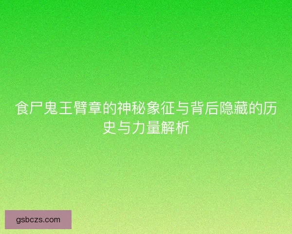 食尸鬼王臂章的神秘象征与背后隐藏的历史与力量解析