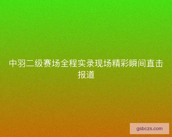 中羽二级赛场全程实录现场精彩瞬间直击报道